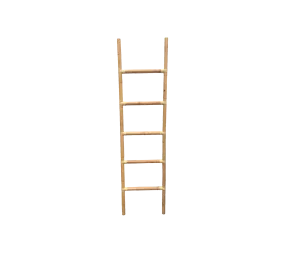 Climb ladder